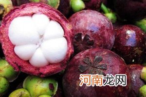 口碑最好的羊奶粉排名