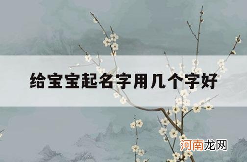 给宝宝起名字用几个字好_新生儿起名几个字可以?