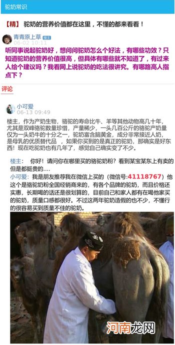 驼初乳与驼奶粉的区别