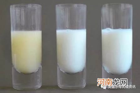 羊初乳的好处视频