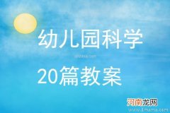 附教学反思 大班科学活动教案：种子的旅行教案