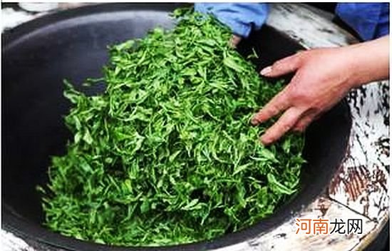 老茶客口中的炒青茶 炒青绿茶工艺