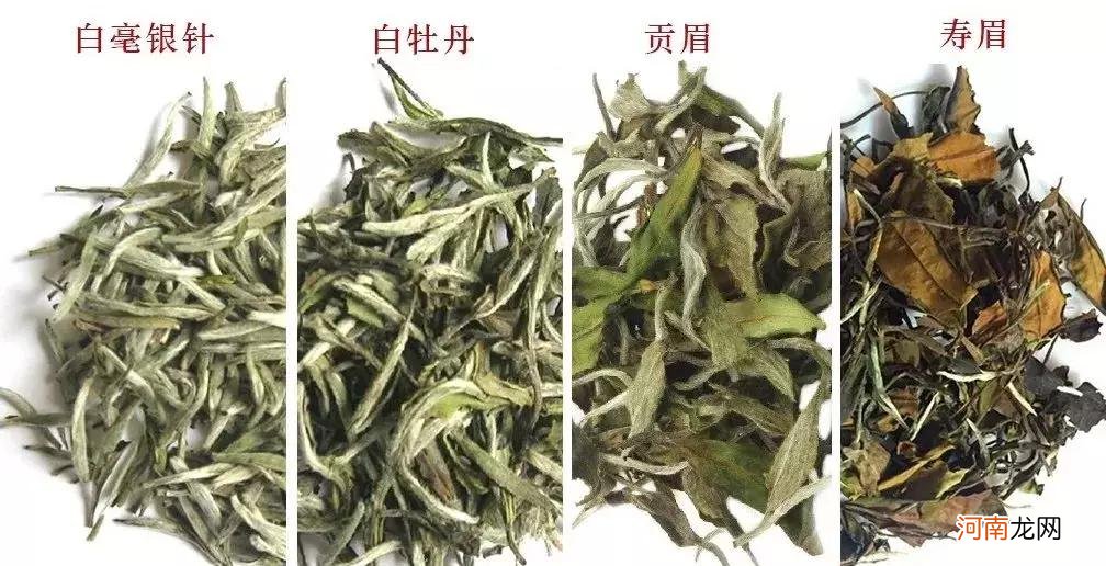 福鼎白茶冲泡方法，这4种方式最实用