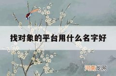 找对象的平台用什么名字好_找个对象什么平台