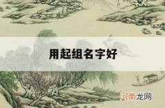 用起组名字好_怎样起组名