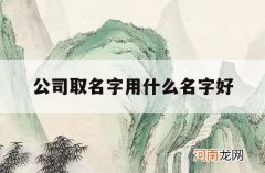 公司取名字用什么名字好_公司应该取什么名字比较好