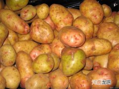 土豆需要放冰箱吗 土豆放冰箱里可以吗