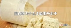 蛋白粉为什么不能用开水冲