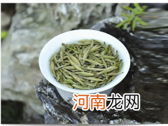 福鼎大白茶和福鼎大毫茶哪个好