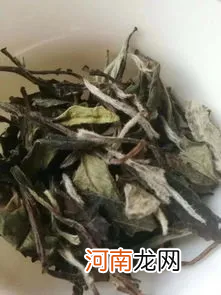 福鼎大白茶和福鼎大毫茶哪个好