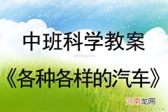 大班科学活动教案：马路上的汽车教案