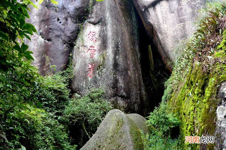 福鼎白茶核心产区 福鼎的白茶产地在哪