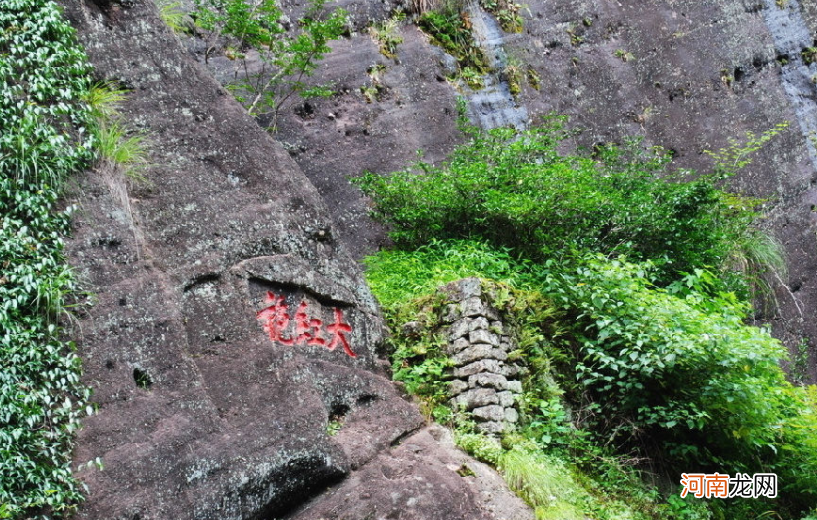 八方来客共赏的武夷山茶文化 福建武夷山茶文化的认识