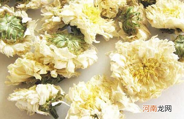 黄山贡菊的功效与作用 贡菊是什么