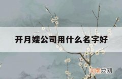 开月嫂公司用什么名字好_开一家月嫂公司怎么样