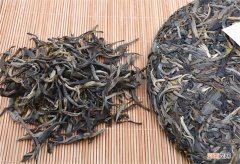 古树普洱生茶的功效，古树生普有什么优势？