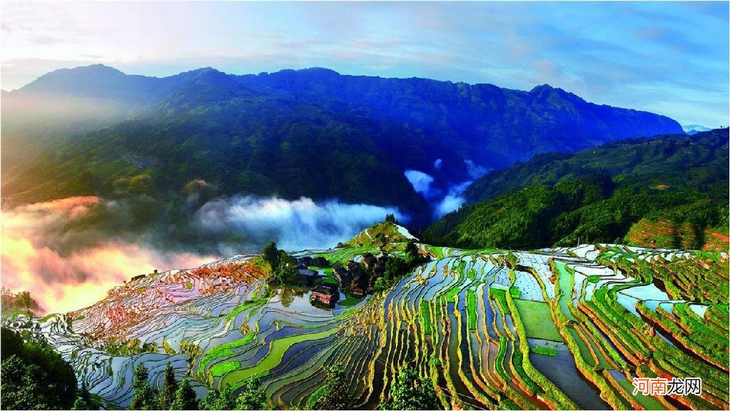 探寻云贵高原深处的高山绿茶 贵州高山绿茶简介