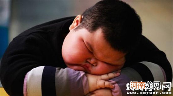 宝宝太胖危害影响生长发育 盘点宝宝太胖的危害