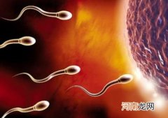精子活力低能生育吗 精子活力低怎么提高精子质量