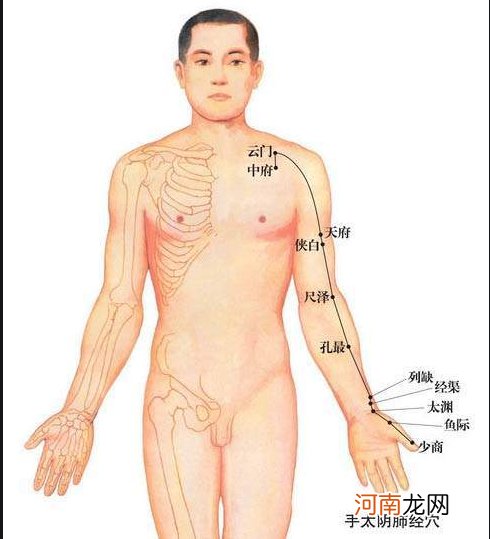 12首穴位歌诀教你瞬间记住经络走向 教你如何记12经络口诀