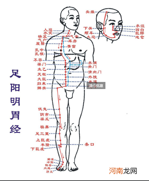 12首穴位歌诀教你瞬间记住经络走向 教你如何记12经络口诀