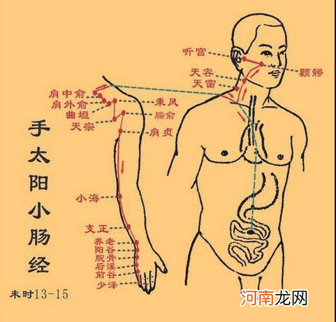 12首穴位歌诀教你瞬间记住经络走向 教你如何记12经络口诀