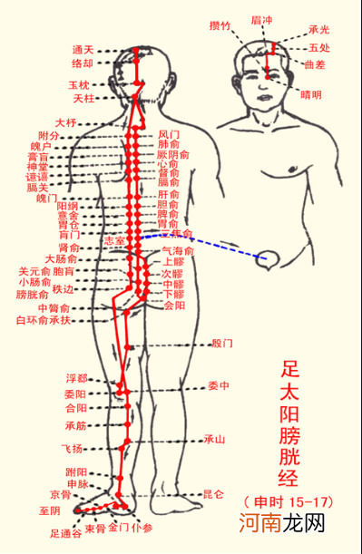 12首穴位歌诀教你瞬间记住经络走向 教你如何记12经络口诀