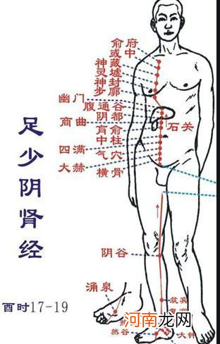 12首穴位歌诀教你瞬间记住经络走向 教你如何记12经络口诀