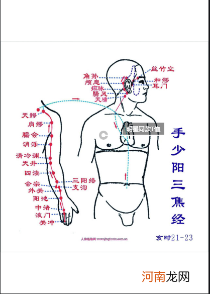 12首穴位歌诀教你瞬间记住经络走向 教你如何记12经络口诀