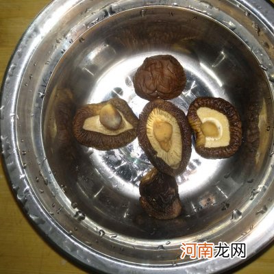 清炖甲鱼汤 甲鱼汤的家常做法