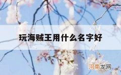 玩海贼王用什么名字好_海贼王名字好听