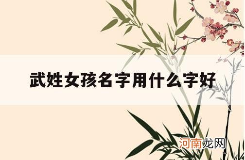 武姓女孩名字用什么字好_女孩姓武取个什么名字好