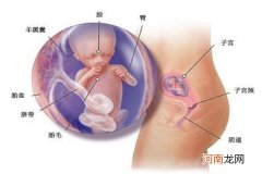 胎儿6个月在腹中图片 正常胎儿体重一斤左右