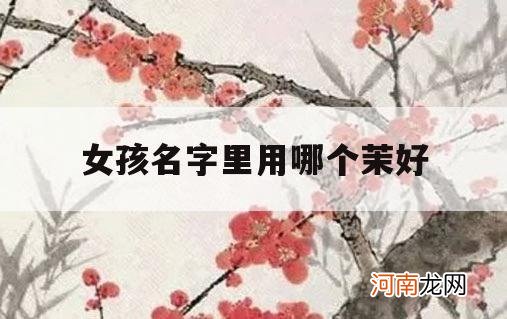 女孩名字里用哪个茉好_茉适合用在名字里吗