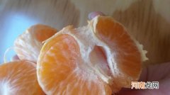 橘子皮上的白色粉末是什么 橘子皮上面的白色粉末是什么