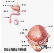 前列腺炎，要戴套性爱