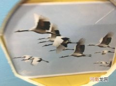 大雁和燕子的区别 大雁和燕子有什么不同