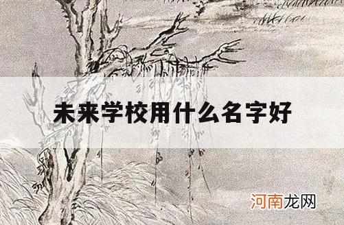 未来学校用什么名字好_未来的学校是什么