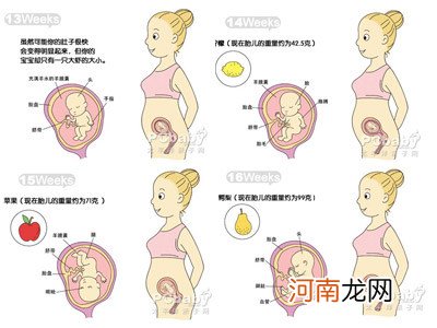 25周胎儿发育标准数据