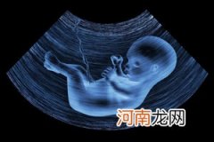 25周胎儿发育标准数据