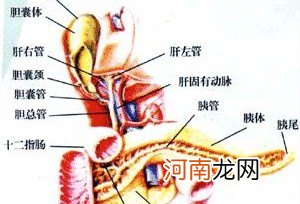 避孕药需谨慎吃，长期服用致胰腺坏死