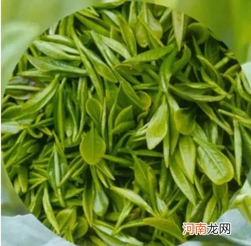 品一口牟定化佛茶 化佛茶的详细介绍