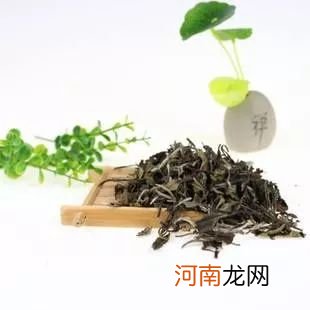 江山绿牡丹茶属于什么茶