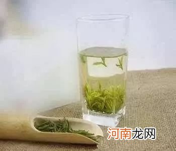 江山绿牡丹茶属于什么茶