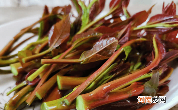 雨水节气的含义是什么意思 雨水节吃什么风俗食物