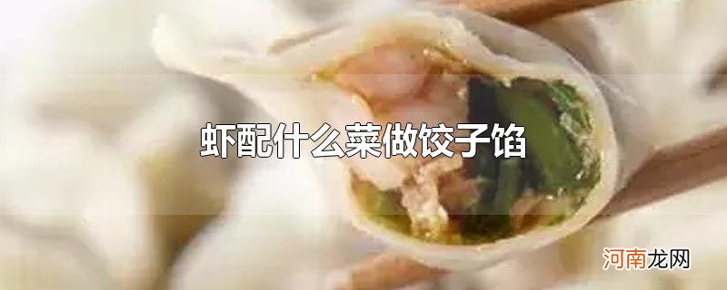 虾配什么菜做饺子馅