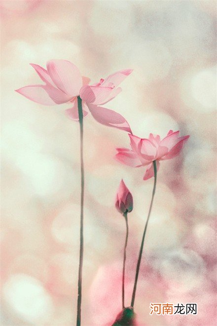 感悟人生的经典哲理说说 时间感悟人生哲理句子