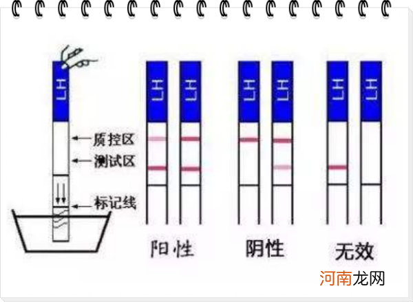 试纸阴性阳性代表什么