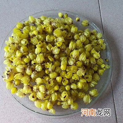 自制梅花茶 梅花茶的制作方法