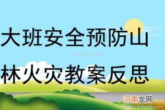 附教学反思 大班安全活动教案：火灾来了教案